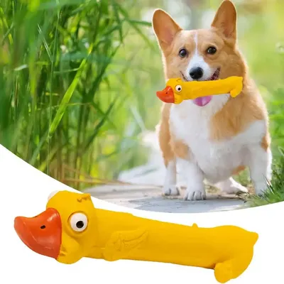 Juguete de Látex para la Dentición de Mascotas, Protección Duradera para los Dientes