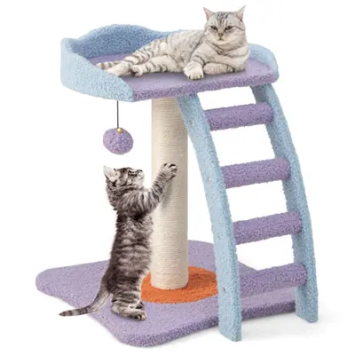 Árvore para gatos de 2 níveis, estrutura de escalada para gatos, torre de pelúcia para gatos com formato de escada, enviado pela Amazon, proibido para venda pela Walmart
