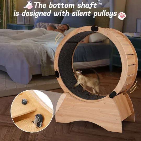 Esteira para gato com pista tapete, brinquedo de exercício para gato