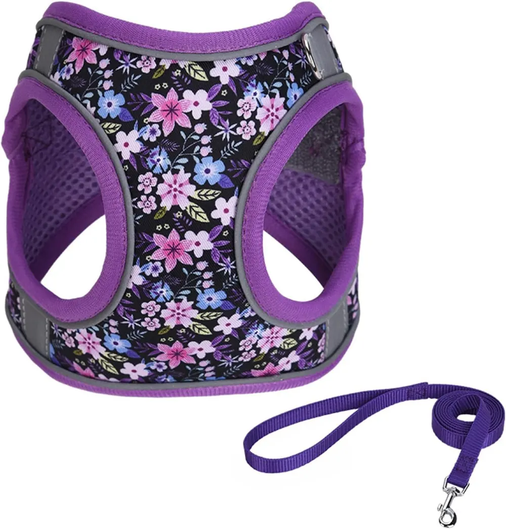 Hundkoppel/halsband för husdjur