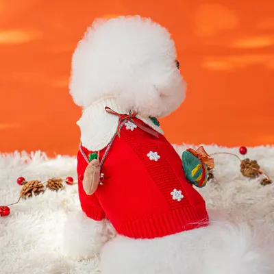 Liten Hund Höst och Vinter Jul Älg Husdurs Tröja Katt Tvåbent Stickad Varm Teddy Husdurs Kläder