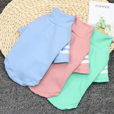 奇宠潮款狗狗衣服春装宠物服装秋冬季泰迪打底衫猫咪高领约克夏