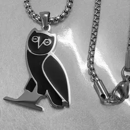 Comercio Transfronterizo Nuevo Collar de Búho de Acero Inoxidable para Mujer, Personalidad Hip Hop, Joyería de Nicho de Alta Gama Versátil al por Mayor en Yiwu