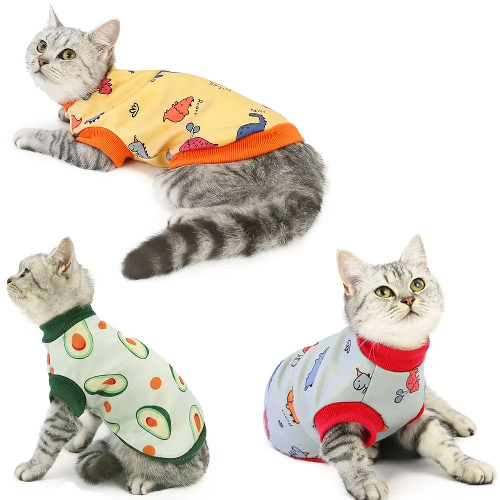 Kattkläder höst/vinter nytt, kattungkläder, 2020, mjölksiden sweatshirt