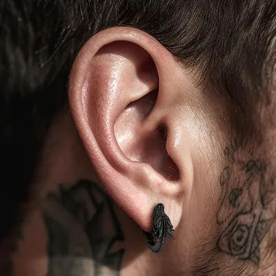 Brincos de Dragão de Aço Inoxidável Punk Hip Hop Personalizados