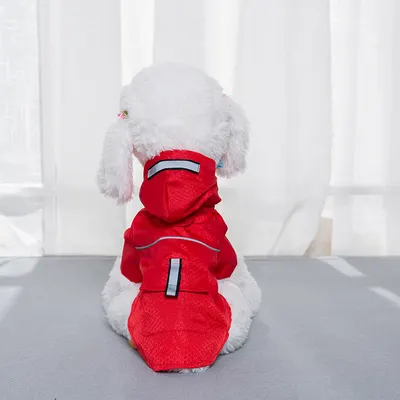 Gränsöverskridande exklusiv regnrock för husdjur, nattreflekterande, för katt och liten hund, teddybjörn regnrock, fabriksgrossist