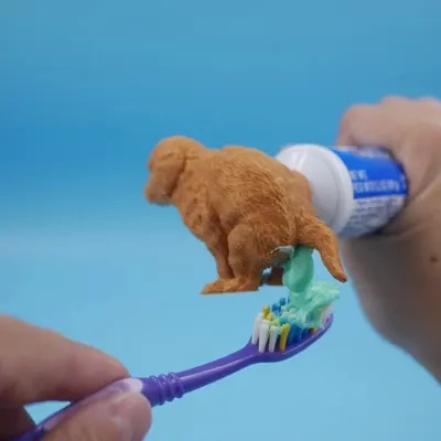 Golden Retriever tandkrämshuvud, valp baj tandkräm dispenser