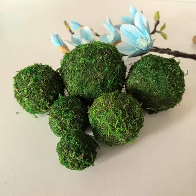 Vaso de musgo, bola de palha, flor seca em bola