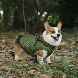 Ropa para Mascotas Suministros Cálidos de Invierno