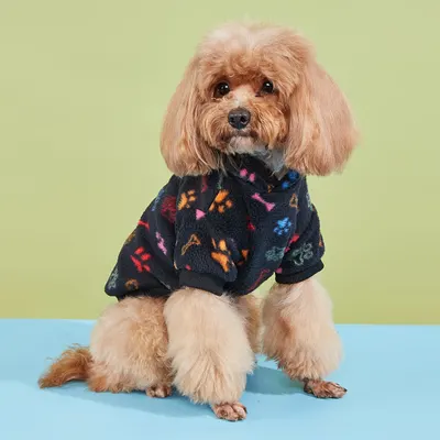 Casaco para cachorro pequeno de outono e inverno, roupa quente anti-queda para animais de estimação, pulôver com capuz xadrez, sweatshirt quente universal para cachorro