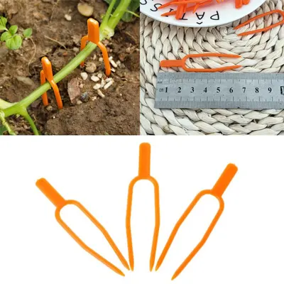 50個 クリーピングステム固定クリップ 植物 つるクリップ いちご苗クリップ スイカ苗フォーク
