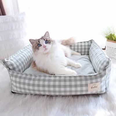 Cama para cães nova de estilo coreano de primavera e verão, cama para gatos lavável universal para cães e gatos de pequeno e médio porte