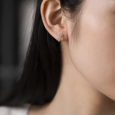Pendientes S925 de plata de ley con diseño especial