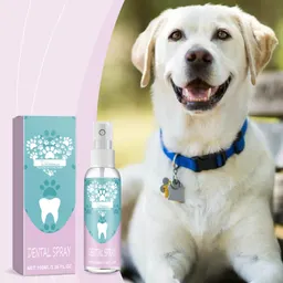 Spray dental para animais de estimação, para cuidar e limpar a boca dos animais