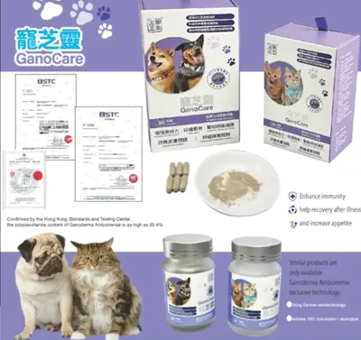 Suplemento de saúde para animais de estimação de Ganoderma lucidum, suplemento de saúde para gatos