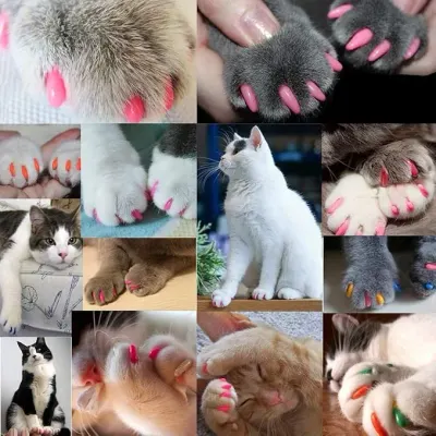 VICTHY 140 Piezas (14 Colores) Fundas para Uñas de Gato, Cubiertas para Patas de Gato, Cubiertas para Uñas de Gato con Adhesivo y Aplicador
