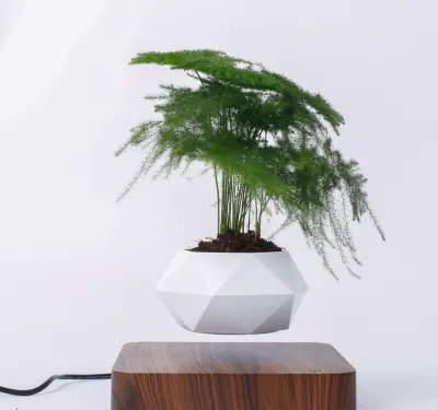 Planta magnética levitante | Por grosso | Fornecido por fábrica transfronteiriça | Vaso de planta flutuante criativo / Vaso para bonsai
