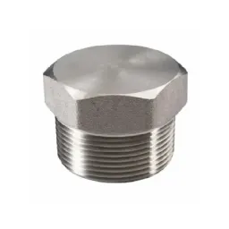 ステンレス鋼製パイププラグ 304 316 NPT BSPT ねじ 六角頭 ソリッドプラグ パイプ継手