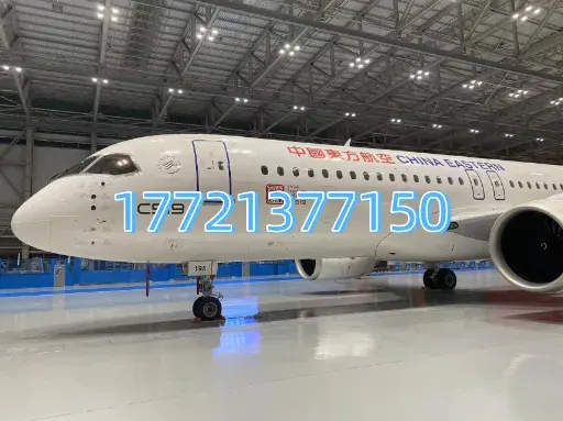 플라잉 히어로즈 C919 시뮬레이션 모델, 맞춤형 도색 가능, 초등학교 및 중학교 교육용 장난감 및 연구용 자료