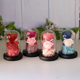 プリザーブドフラワー モスベア ガラスドーム オーナメント
