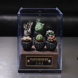 Modelo em miniatura de planta caudex original, bola de pano feita à mão