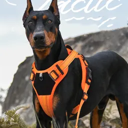 Anti-flykt taktiskt hundsele för stora hundar, koppel för hundpromenader, reflekterande hundsele