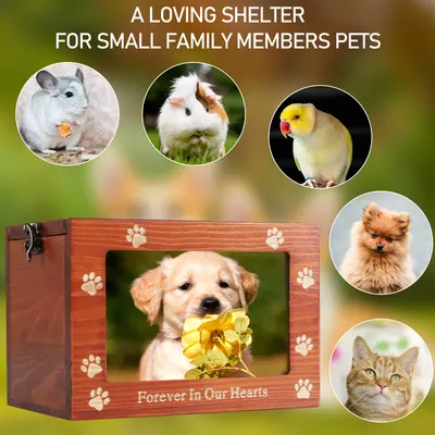 Caja para Urna de Mascotas