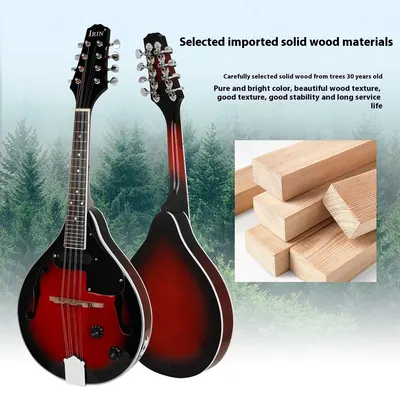 Mandolina eléctrica con sonido de borde rojo y negro, guitarra de ocho cuerdas, piano