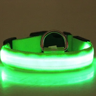 LED-ljusande natt hundhalsband för husdjur