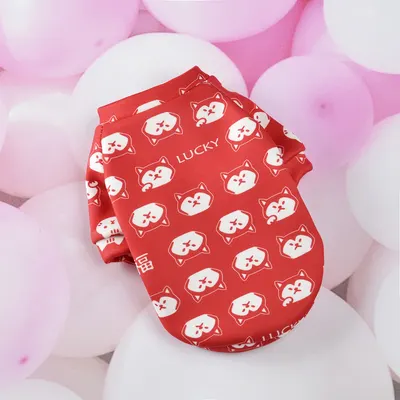 Capuz de Malha para Cão, Roupa Quente para Gato e Pequenos Animais de Estimação, para o Ano Novo
