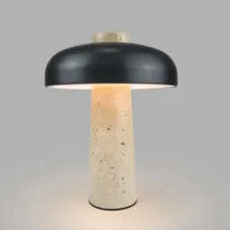 Alloy skrivbordslampa