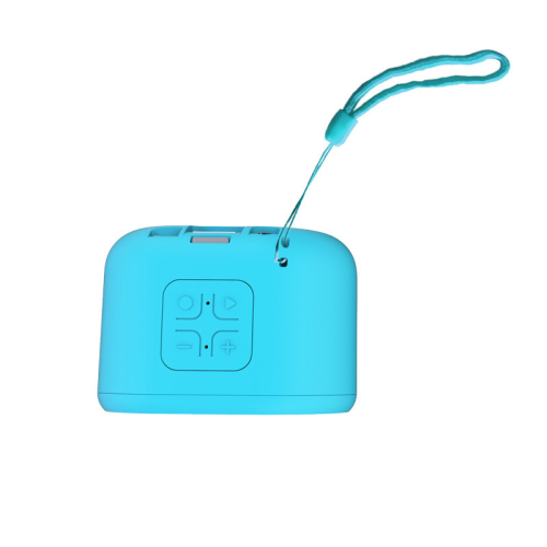 Portable smart speaker