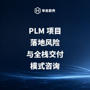 Консультирование по рискам внедрения PLM-проектов и моделям комплексной реализации.