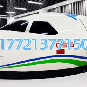 Feixia Aviation C919 Domestic Large Aircraft Scale Simulation Model for Aviation Training and Demonstration