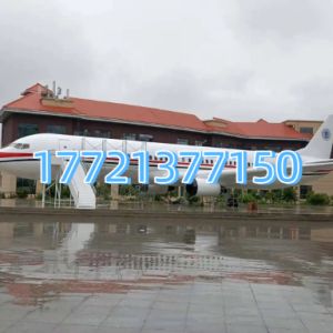 C919 domestic passenger aircraft physical model, 1:1 replica, static display prop for aviation exhibition halls.
