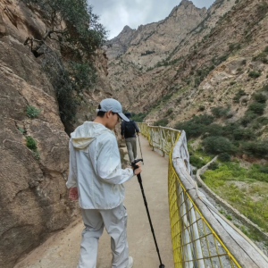 超輕便的戶外登山杖，直柄行走杖，鋁合金登山杖，多功能伸縮攀爬拐杖