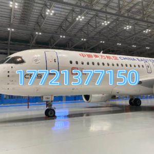 飞侠航空 C919 仿真模型 可定制涂装 中小学研学科普教具