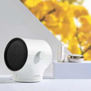 Calentador Ventilador de Escritorio