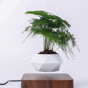 磁懸浮花盆 | 批發 | 跨境工廠供應 | 創意懸浮花盆 / 盆景花盆