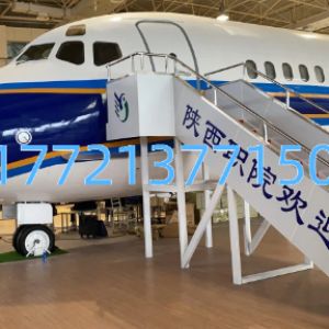Qidong Flying Hero C919 Model: Detailed Recreation, Interactive Exhibit at the Aviation Theme Park
