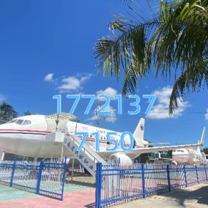 C919 domestic passenger aircraft physical model, 1:1 replica, static display prop for aviation exhibition halls.