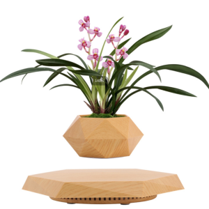 磁懸浮花盆 | 批發 | 跨境工廠供應 | 創意漂浮花盆 / 盆景花盆