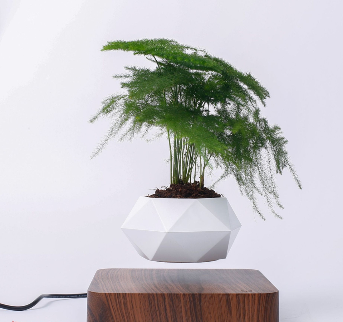 Magnetic Levitating Planter | Wholesale | Cross-Border Factory Supply | Creative Floating Plant Pot / Bonsai Planter