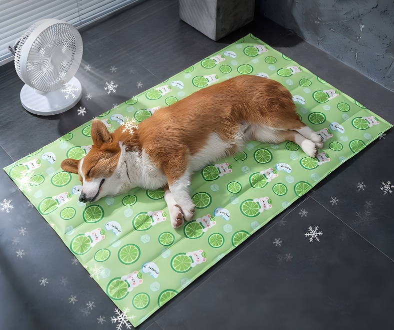 寵物降溫墊，適用於狗與貓的夏季降溫墊，無毒睡眠墊，夏季降溫寵物床墊最低起訂量為 10 件，請下單購買 10 件或以上