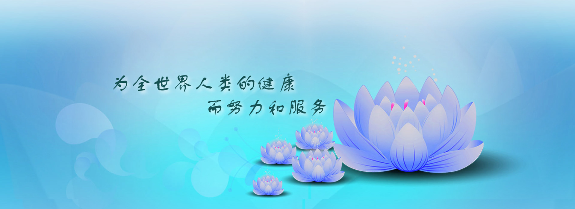 喜寿康